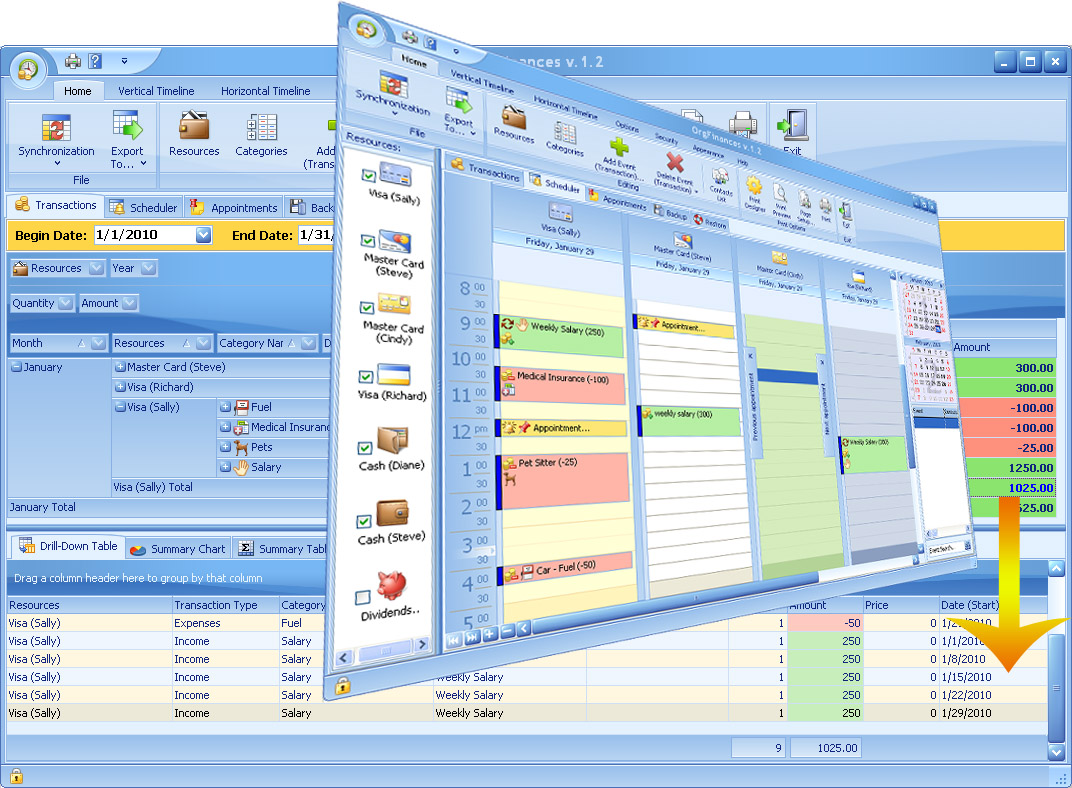 Click to view OrgFinances for Workgroup 2.1 screenshot